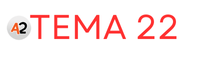 Acente2 Tema22
